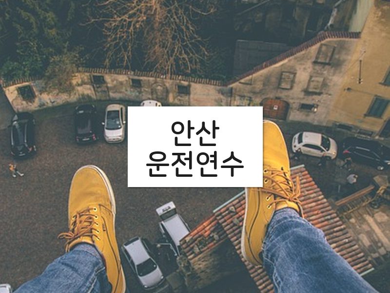 안산운전연수 후기