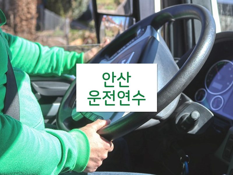 안산운전연수 후기