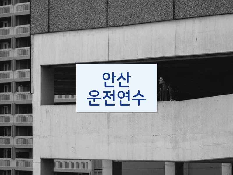 안산운전연수 후기