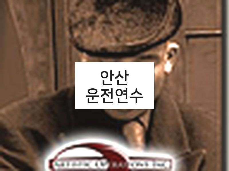 안산운전연수 후기