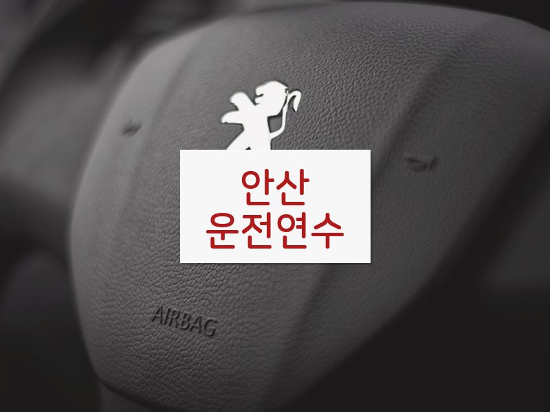 안산운전연수 후기