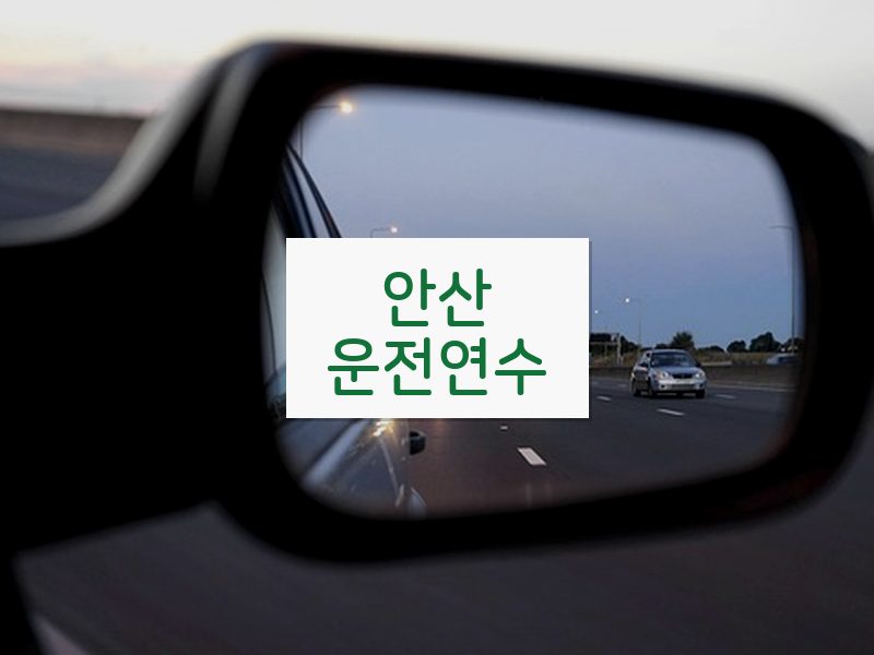 안산운전연수 후기