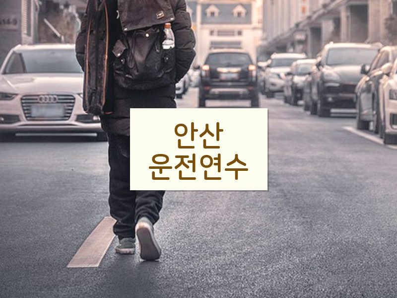 안산운전연수 후기