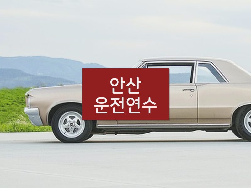 안산운전연수 후기