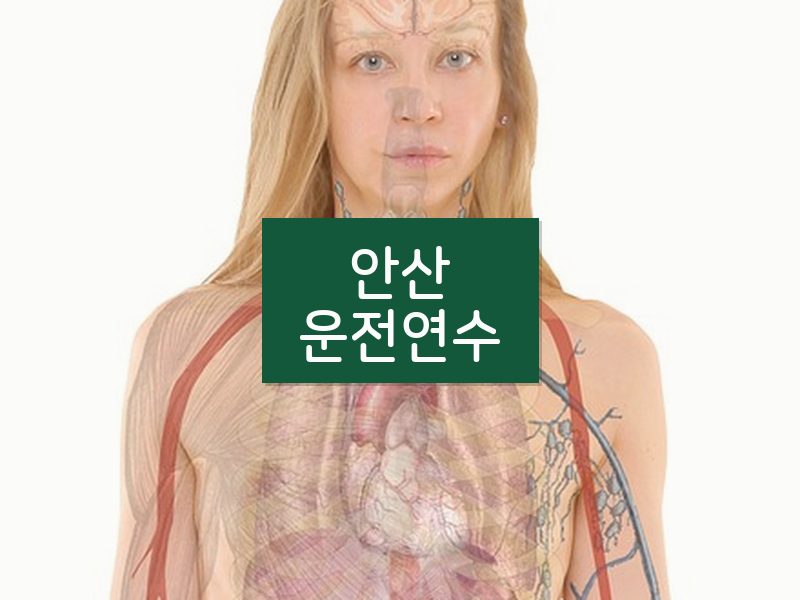 안산운전연수 후기