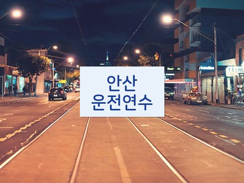 안산운전연수 후기