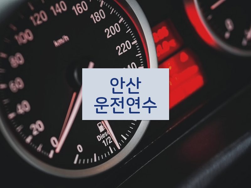 안산운전연수 후기