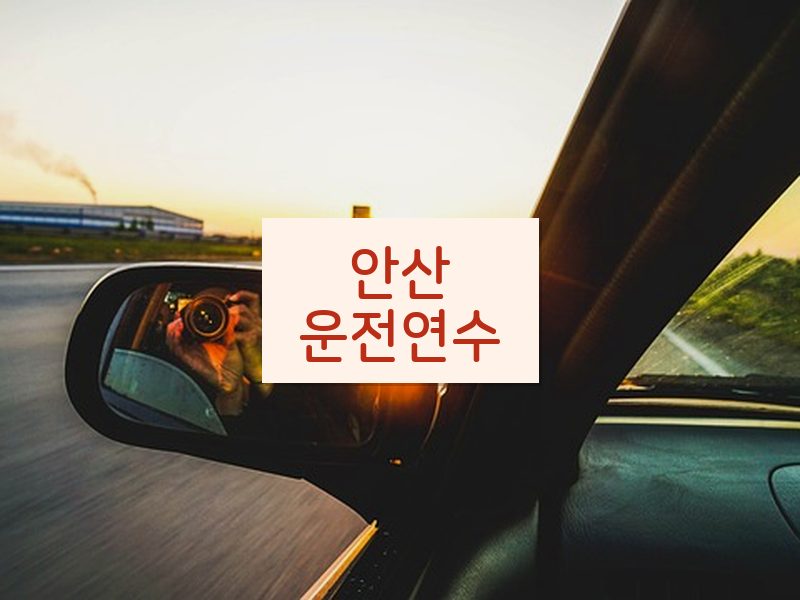 안산운전연수 후기