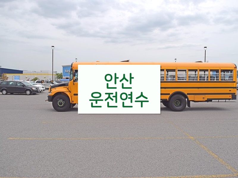 안산운전연수 후기