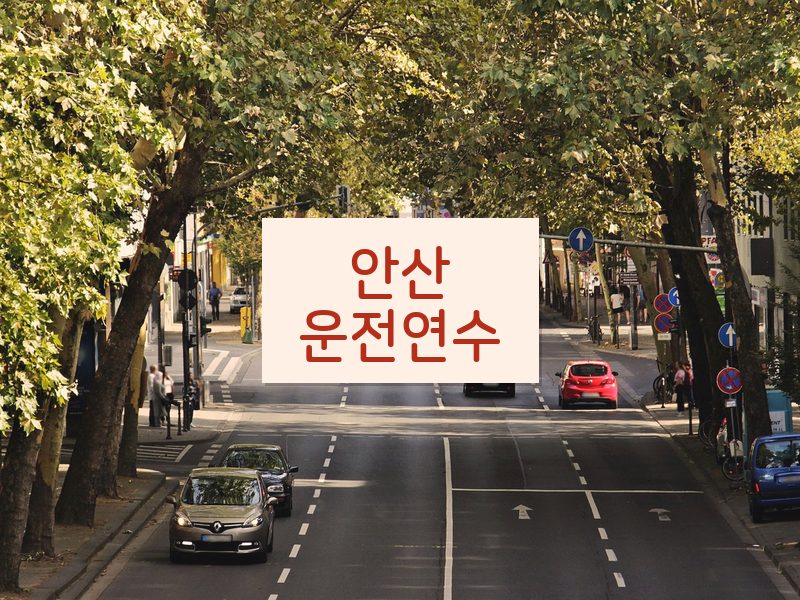 안산운전연수 후기