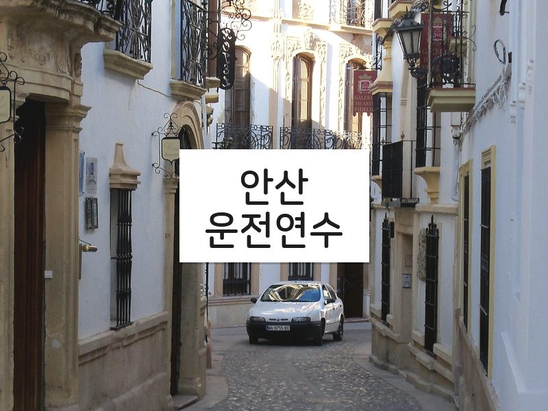안산운전연수 후기