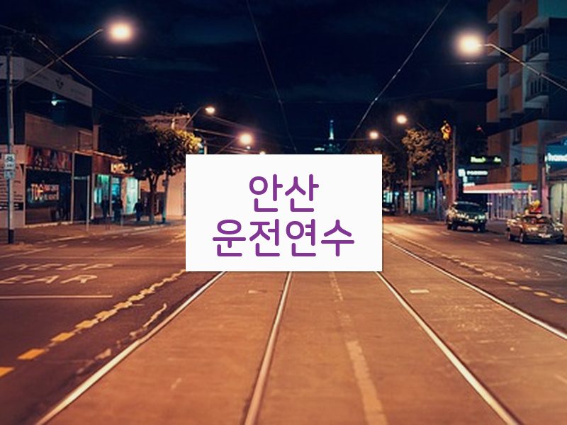 안산운전연수 후기