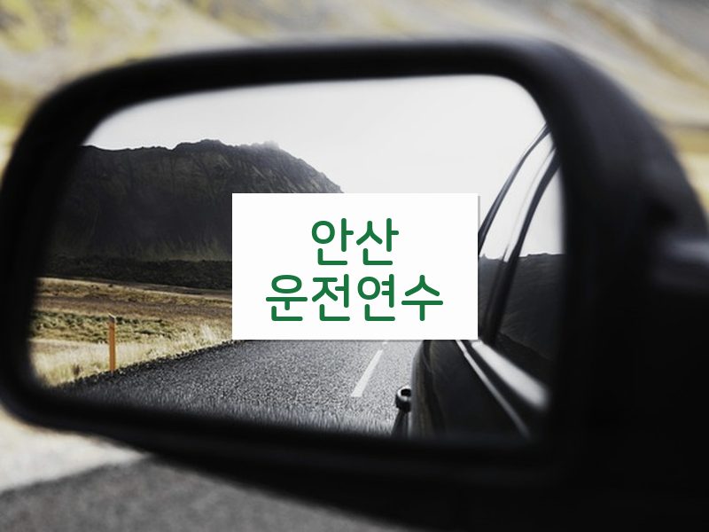 안산운전연수 후기
