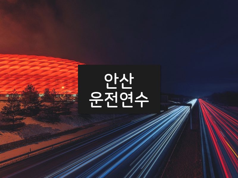 안산운전연수 후기