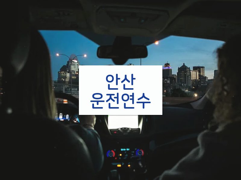 안산운전연수 후기