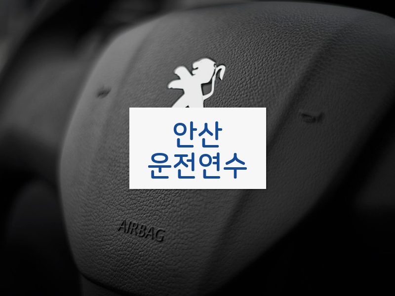 안산운전연수 후기
