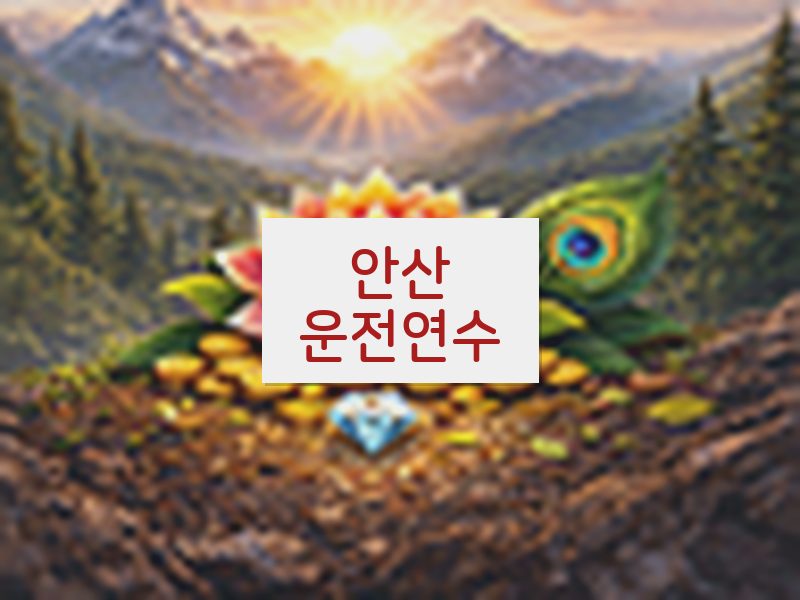 안산운전연수 후기