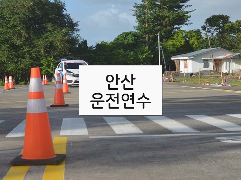 안산운전연수 후기