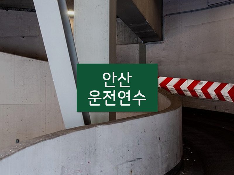 안산운전연수 후기