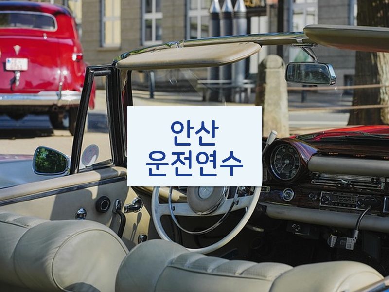 안산운전연수 후기
