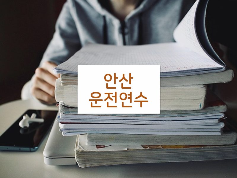 안산운전연수 후기