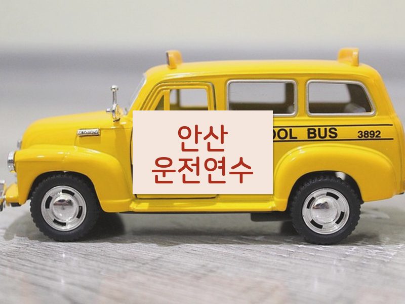 안산운전연수 후기