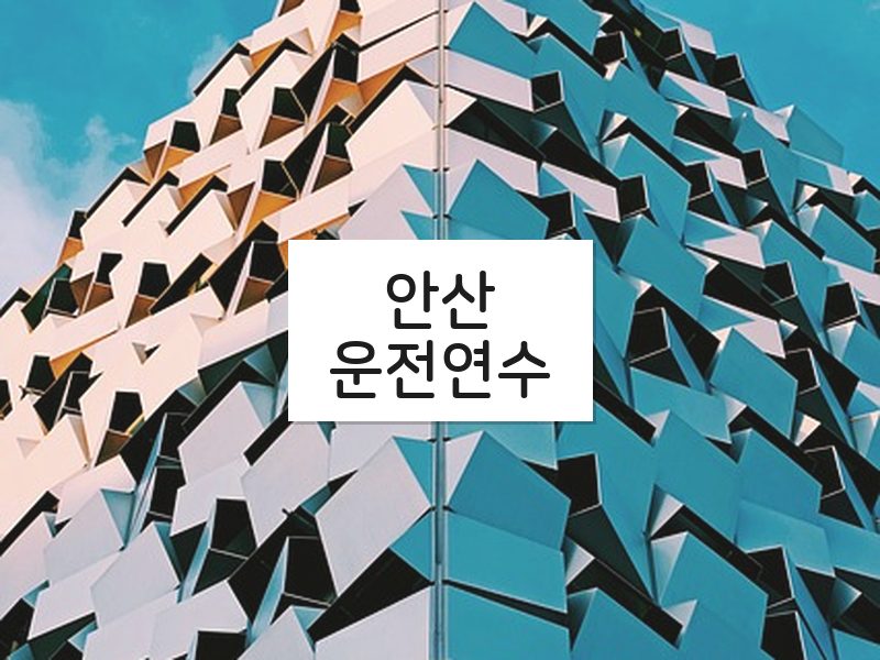 안산운전연수 후기