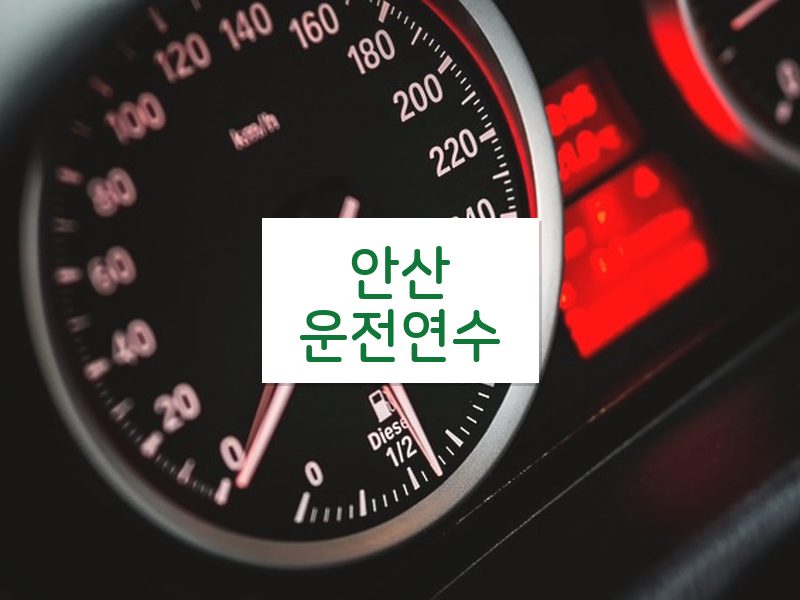 안산운전연수 후기
