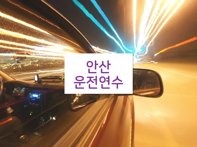 안산운전연수 후기
