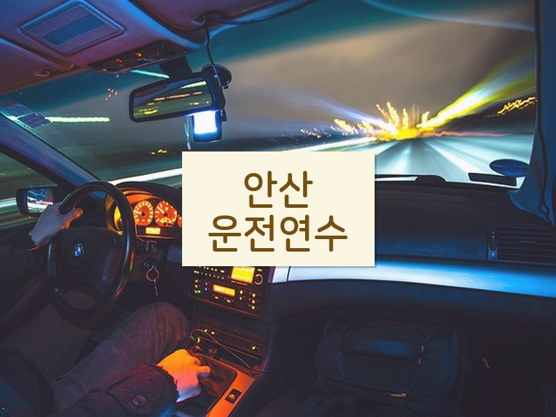 안산운전연수 후기