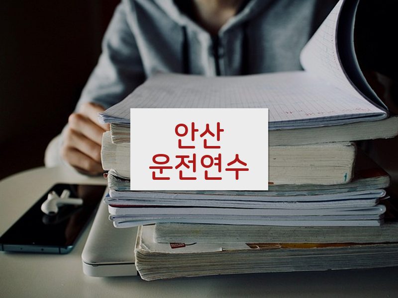 안산운전연수 후기