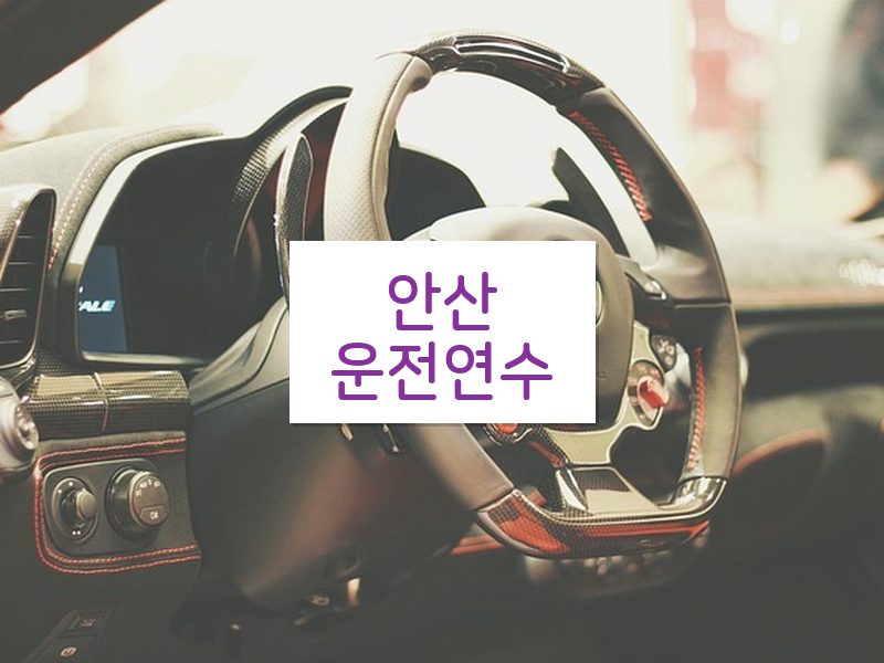 안산운전연수 후기