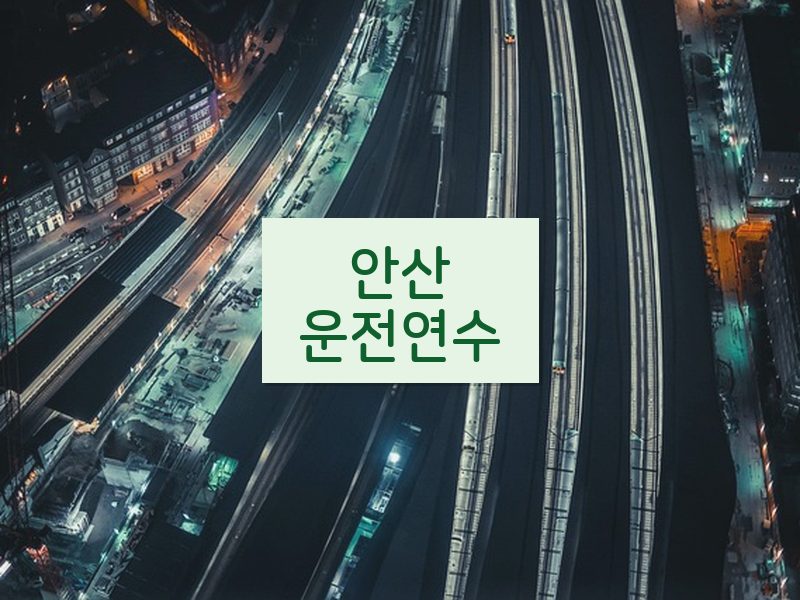 안산운전연수 후기