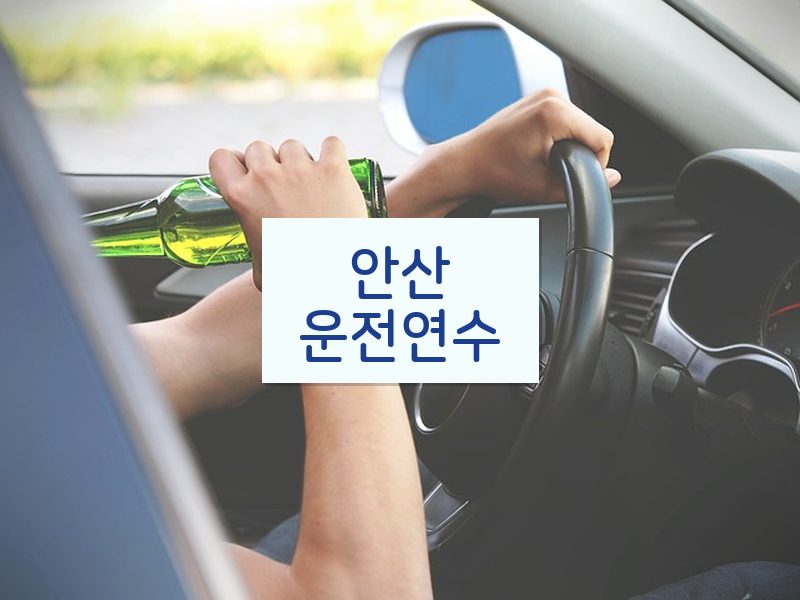 안산운전연수 후기