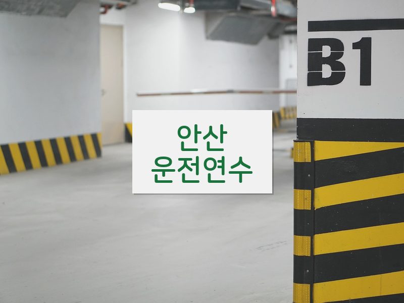 안산운전연수 후기