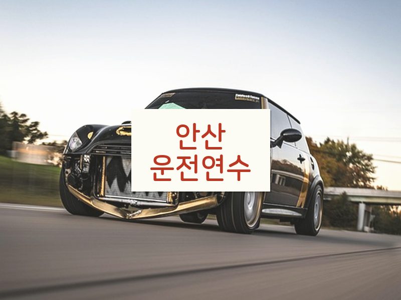 안산운전연수 후기