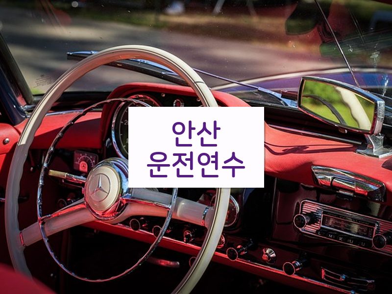 안산운전연수 후기