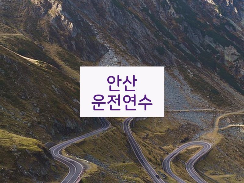 안산운전연수 후기
