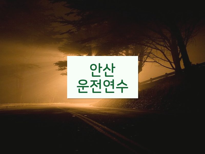 안산운전연수 후기