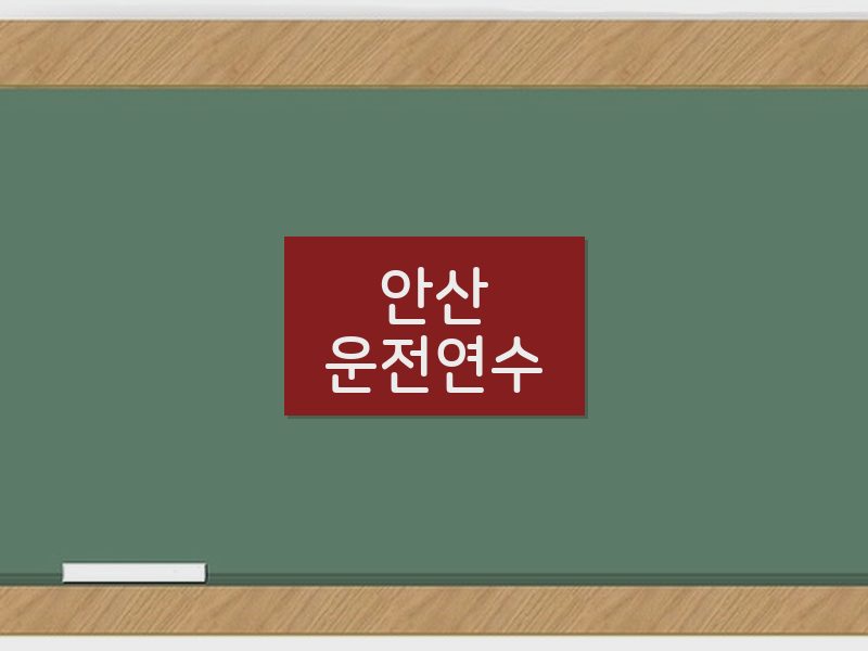 안산운전연수 후기