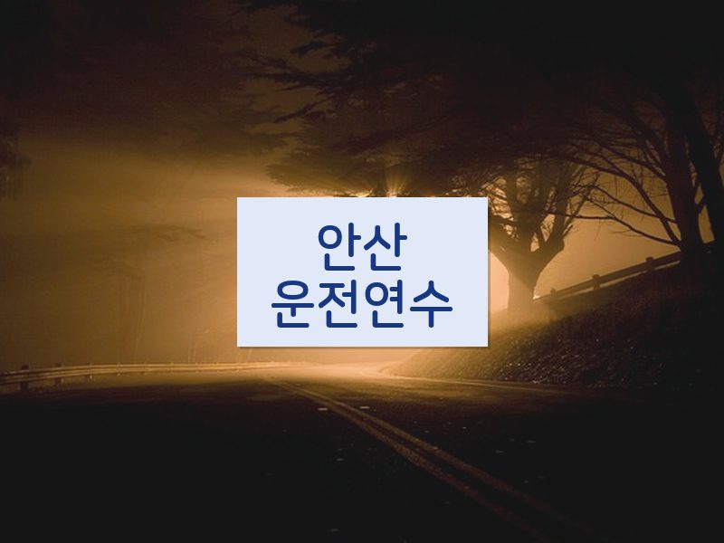 안산운전연수 후기