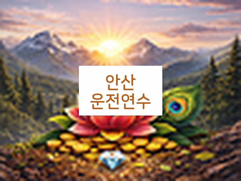 안산운전연수 후기