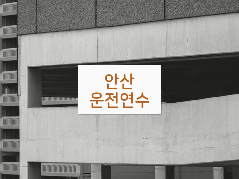 안산운전연수 후기