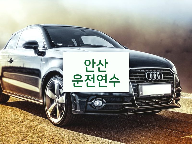 안산운전연수 후기