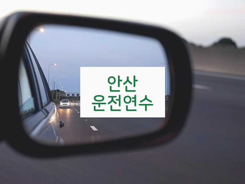 안산운전연수 후기