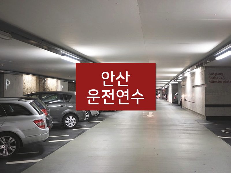 안산운전연수 후기