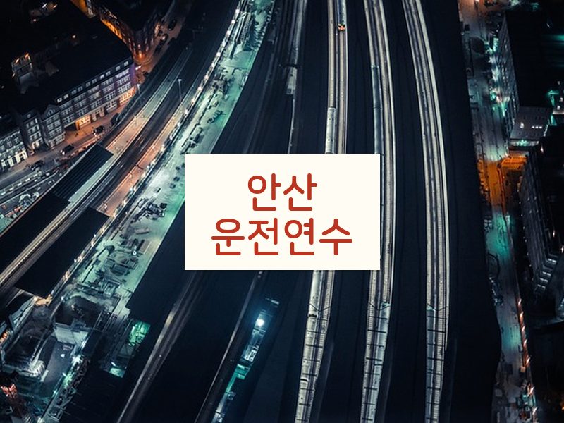 안산운전연수 후기