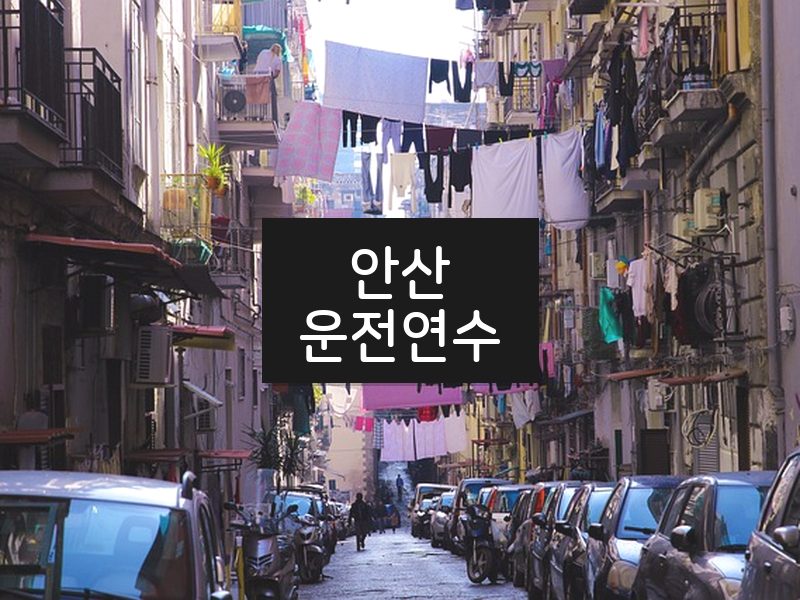 안산운전연수 후기