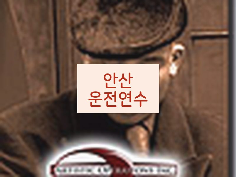 안산운전연수 후기