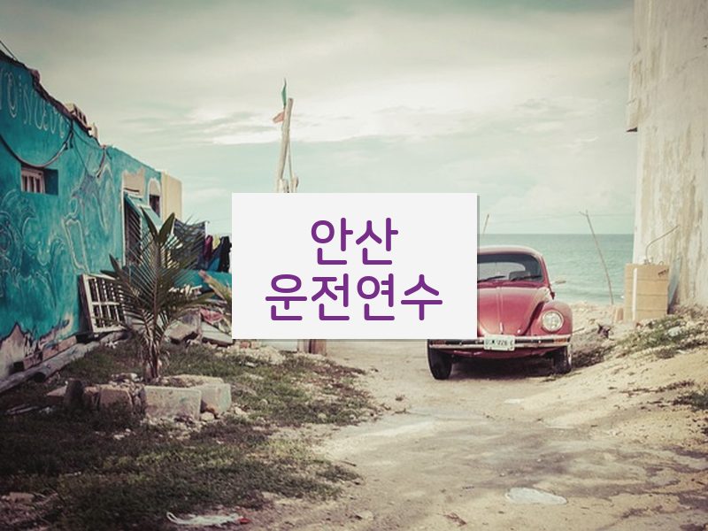 안산운전연수 후기